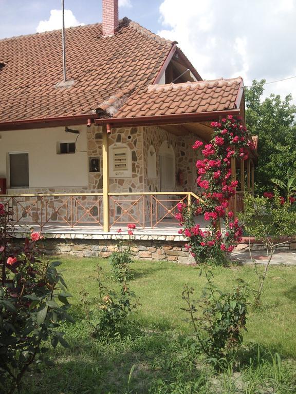 Guesthouse Agnandi Káto Loutrákion エクステリア 写真